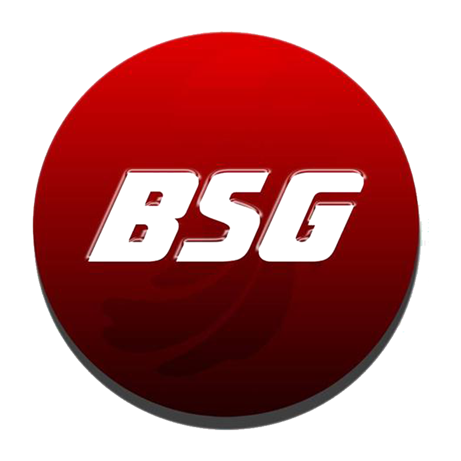 BSG logo
